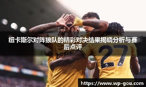 纽卡斯尔对阵狼队的精彩对决结果揭晓分析与赛后点评